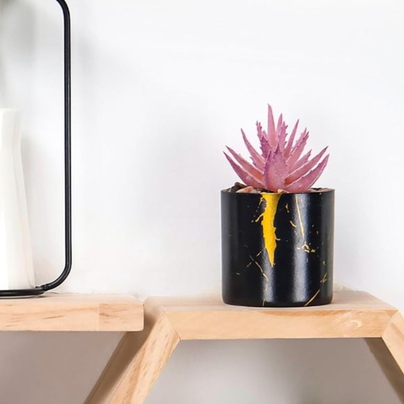 2 Plants Succulents Beautiful Home Decor - Picture 4 of 5